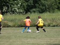 IMG_1310
