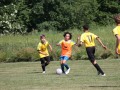 IMG_1311