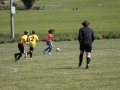 IMG_1326