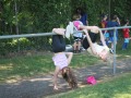 IMG_1356