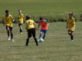 IMG_1393
