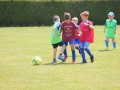 IMG_1445