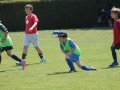 IMG_1464