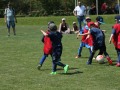 IMG_1480