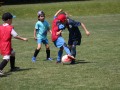 IMG_1484